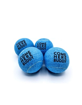 Set of 4 Come Here Buddy Tennis Balls in Sky Blue