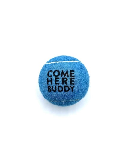 Set of 4 Come Here Buddy Tennis Balls in Sky Blue