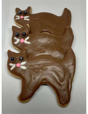 Fraidy Cat