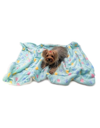 Blue - Ultra Plush Colorful Hearts Blanket - 50" x 30"