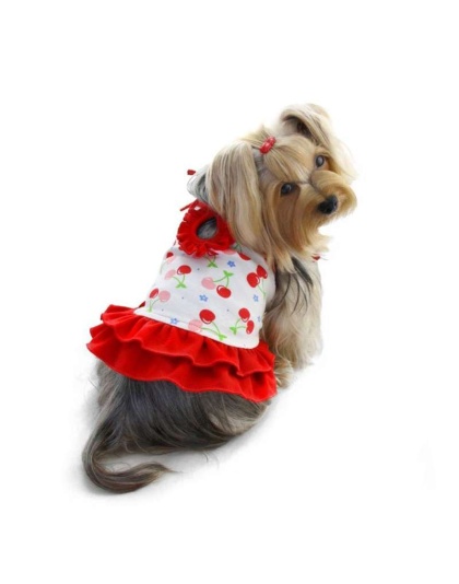 Red/White - Soft Knit Cotton Cherries Dress w/Shoulder Ties - XS