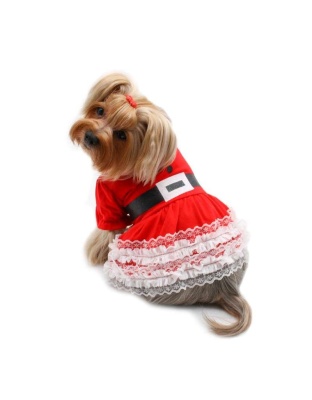 Red - Lace Ruffles Puffy Sleeves Christmas Dress - L