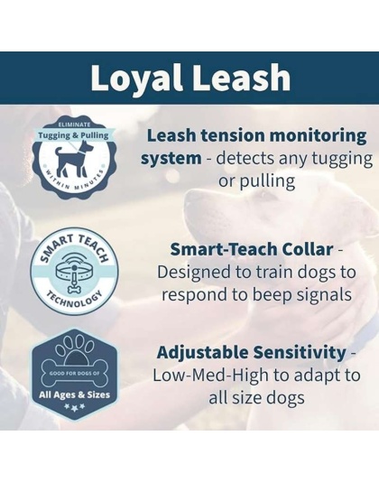 Loyal leash