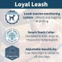 Loyal leash