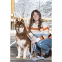 Blue Sky Orchid Waterproof Dog Collar - 11 - 13 inch