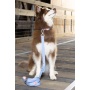 Blue Sky Orchid Waterproof Dog Collar - 15 - 17 inch