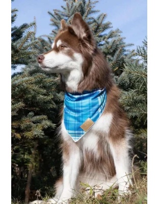 Blue Spruce Plaid Dog Bandana - M/L - 27in x 13in