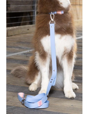 Periwinkle / Pink - Blue Sky Orchid Waterproof Leash