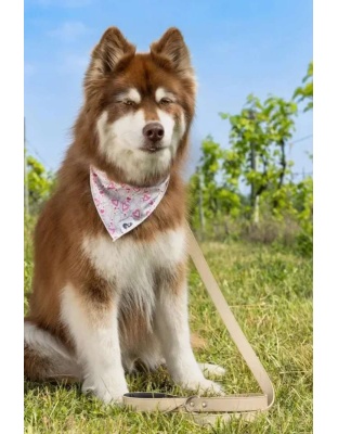 Cheers to Love Dog Bandana - M/L - 27in x 13in