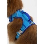 Dockside Adventures Ultimate Harness - Small