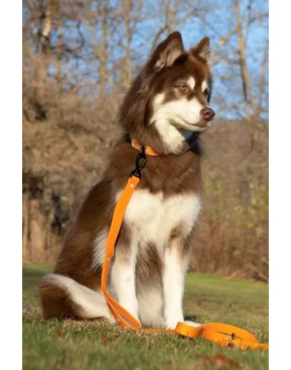 Orange - Crimson Glow Waterproof Dog Leash