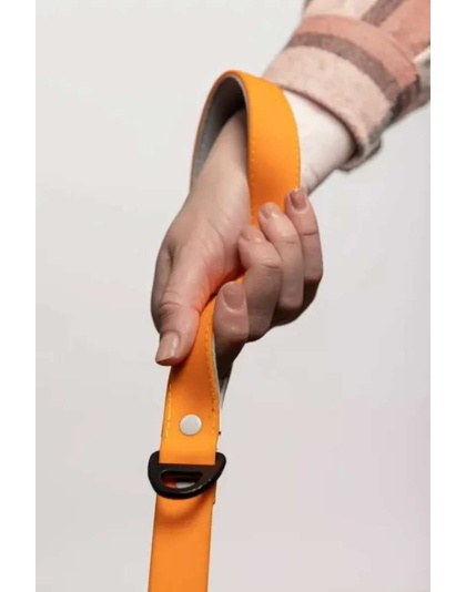 Orange - Crimson Glow Waterproof Dog Leash