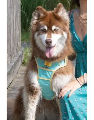 Island Vibes Ultimate Dog Harness - Medium