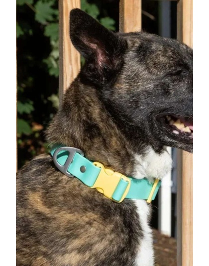 Island Vibes Waterproof Dog Collar - 13 - 15 inch