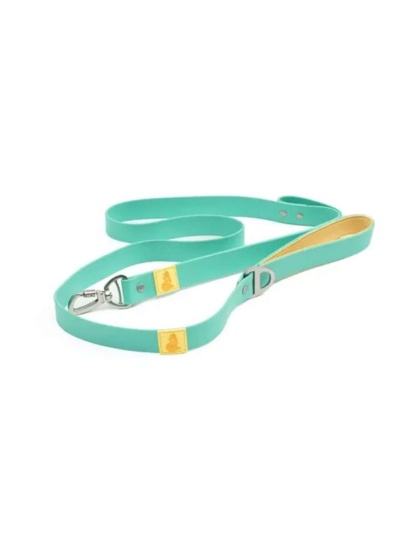 Aqua / Yellow - Island Vibes Waterproof Dog Leash