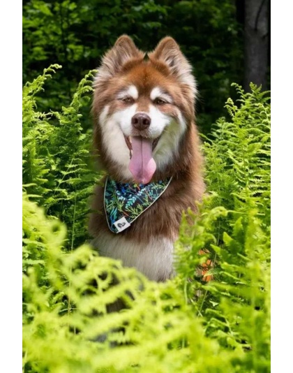 Magical Fern Forest Dog Bandana - M/L - 27in x 13in