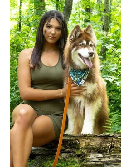 Magical Fern Forest Dog Bandana - M/L - 27in x 13in