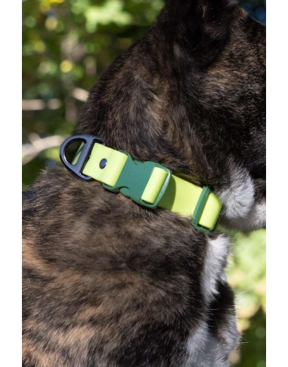 Mossy Pine Waterproof Dog Collar - 13 - 15 inch