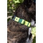 Mossy Pine Waterproof Dog Collar - 13 - 15 inch