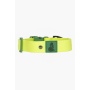 Mossy Pine Waterproof Dog Collar - 13 - 15 inch