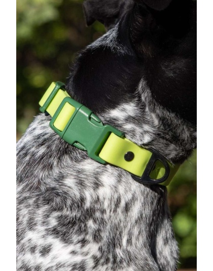 Mossy Pine Waterproof Dog Collar - 13 - 15 inch