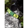 Mossy Pine Waterproof Dog Collar - 13 - 15 inch