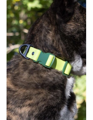 Mossy Pine Waterproof Dog Collar - 15 - 17 inch