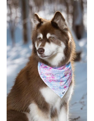 Pink and Blue Tribal Dog Bandana - S/M - 18in x 10in