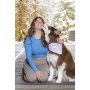 Pink and Blue Tribal Dog Bandana - M/L - 27in x 13in