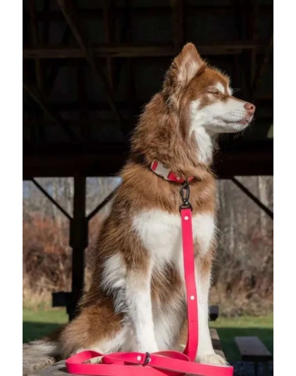 Fuchsia - Red Mountain Syrah Waterproof Dog Leash