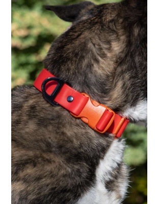 Scarlet Peaks Waterproof Dog Collar - 11 - 13 inch