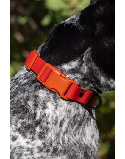 Scarlet Peaks Waterproof Dog Collar - 11 - 13 inch