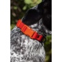 Scarlet Peaks Waterproof Dog Collar - 11 - 13 inch