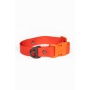 Scarlet Peaks Waterproof Dog Collar - 11 - 13 inch