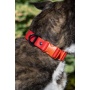 Scarlet Peaks Waterproof Dog Collar - 13 - 15 inch