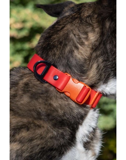 Scarlet Peaks Waterproof Dog Collar - 15 - 17 inch