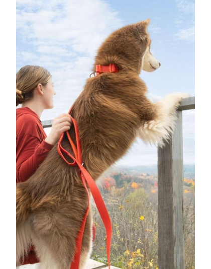 Red / Orange - Scarlet Peaks Waterproof Leash