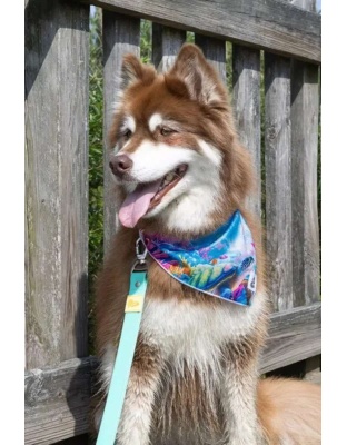 Sea Turtle Swim Dog Bandana - M/L - 27in x 13in