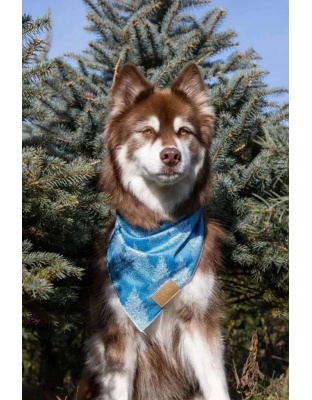 Siberian Spruce Dog Bandana - M/L - 27in x 13in