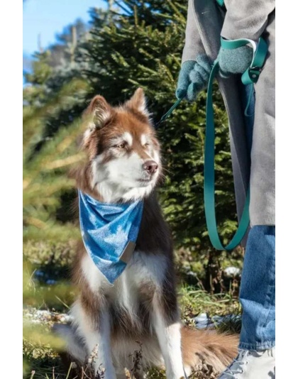 Siberian Spruce Dog Bandana - M/L - 27in x 13in