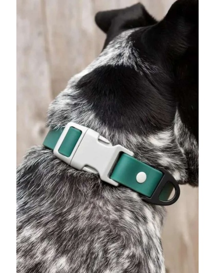 Siberian Spruce Waterproof Dog Collar - 11 - 13 inch