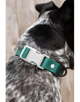 Siberian Spruce Waterproof Dog Collar - 13 - 15 inch