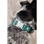 Siberian Spruce Waterproof Dog Collar - 13 - 15 inch