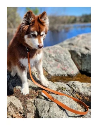 Brown-Red - Sierra Sunrise Vegan Leather Dog Leash