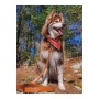 Twilight Trails Dog Bandana - M/L - 27in x 13in