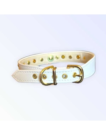 Popstar Studded Collar - 12"