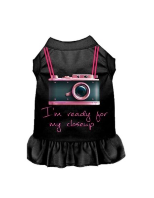 BLACK - Ready For My Closeup - Small