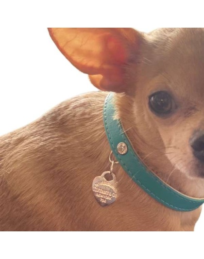 Return to Sniffany Charm Necklace - 14"