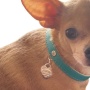 Return to Sniffany Charm Necklace - 16"