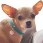 Return to Sniffany Charm Necklace - 18"